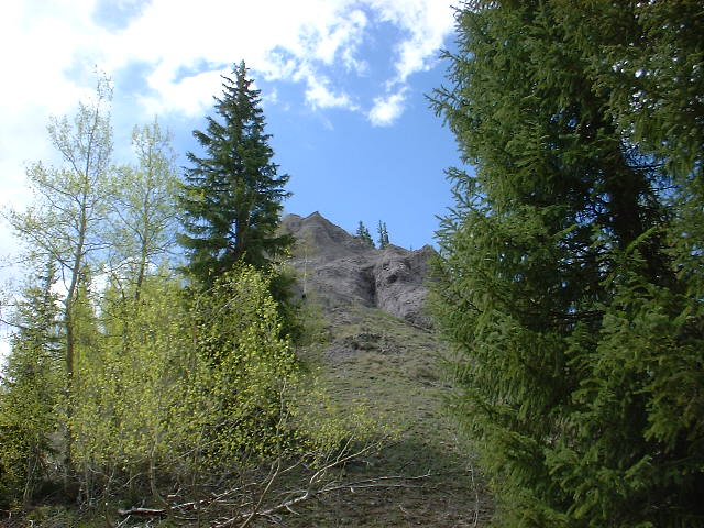 cmtgoldpeak.JPG