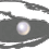 Good_Oyster